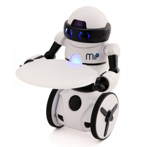 robot-mip
