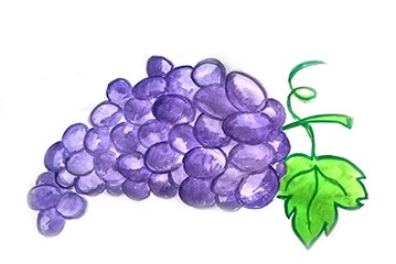 рисуем виноград