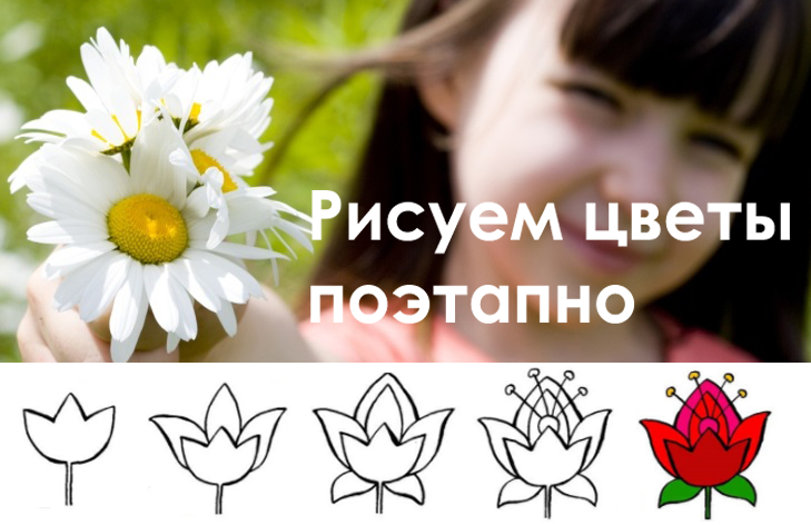 Рисовать цветы Изображения – скачать бесплатно на Freepik