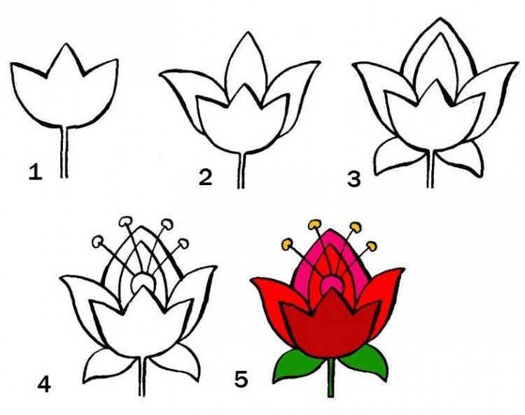Как нарисовать цветы поэтапно - Nils Blog