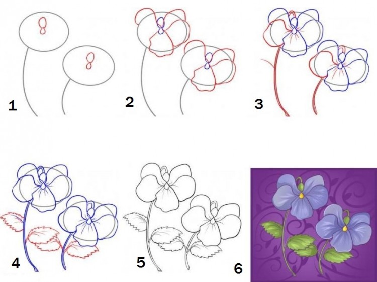 Как нарисовать цветы поэтапно - Nils Blog