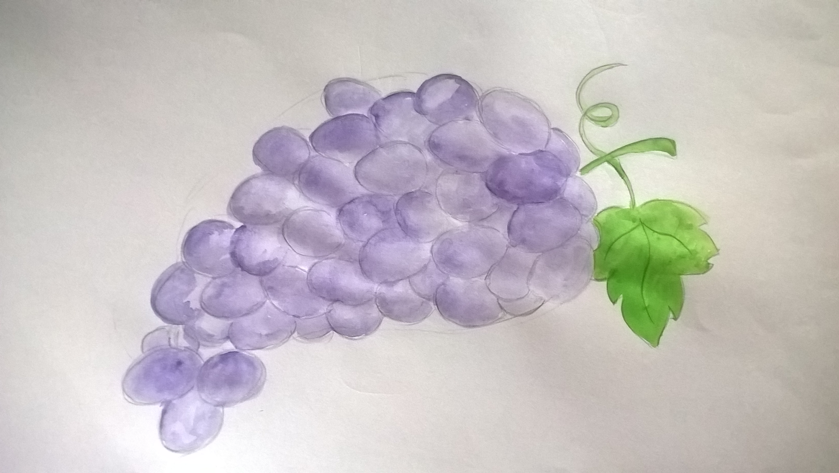 Виноград глазок. Виноград гуашью. Виноград акварелью. Рисование гроздь винограда в подготовительной группе. Виноград акварелью поэтапно.