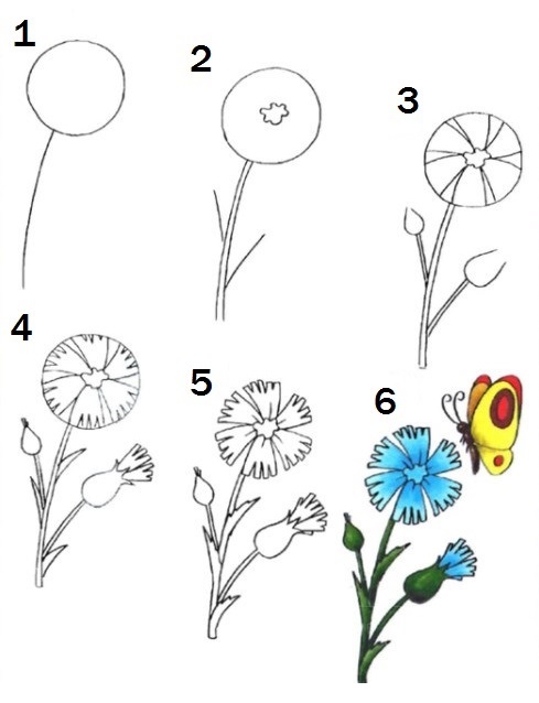 Шаг за шагом: рисование цветов