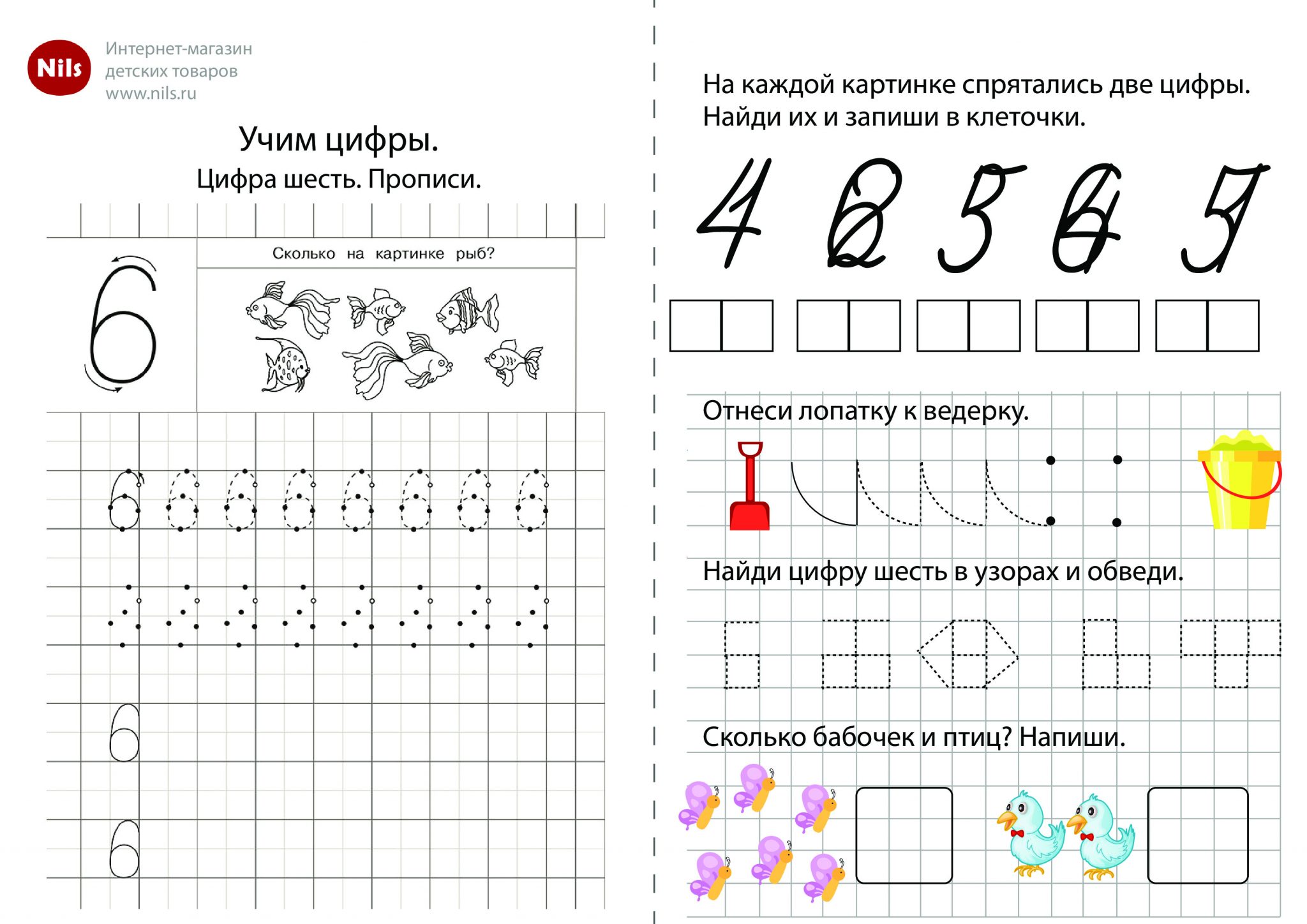 Знакомство с цифрой 8 презентация для дошкольников