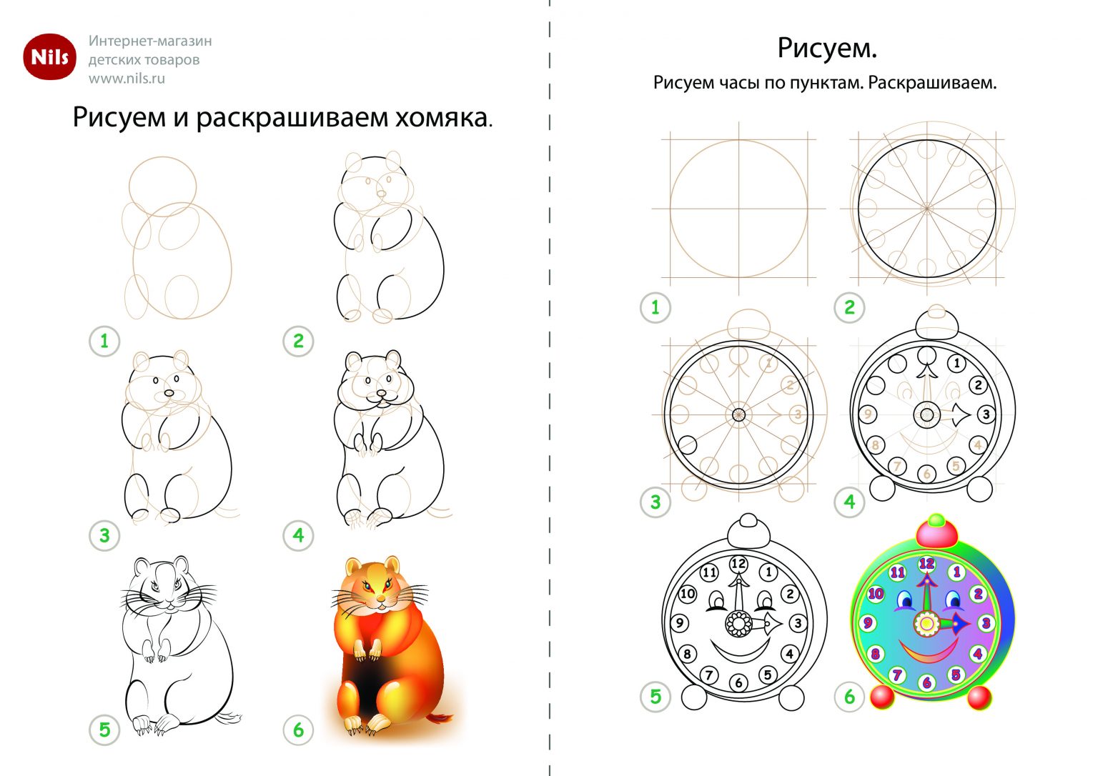 Как нарисовать хомяка для детей 5 лет